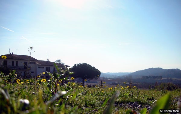 Photolog: Morning Walk
