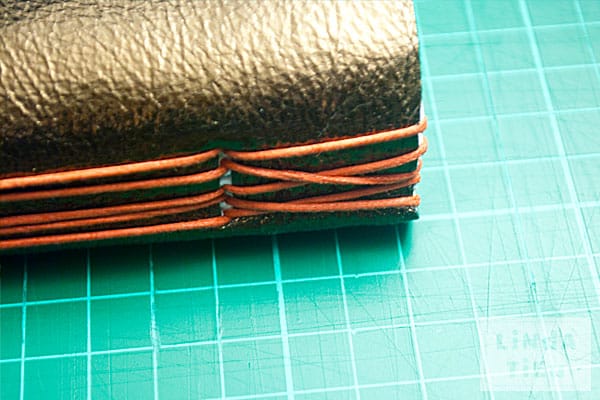LTieu_journalmake6