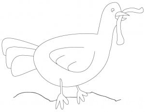 pigeon drawing outline