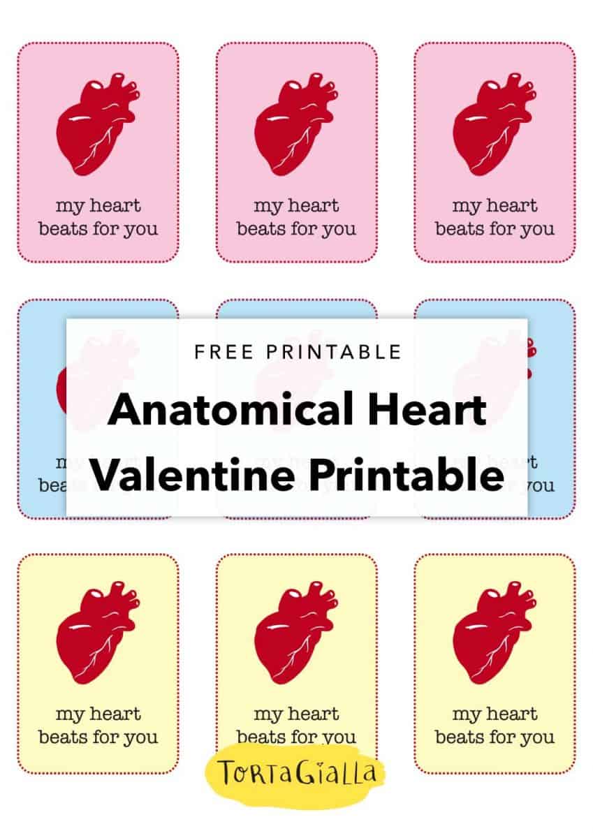 free printable Anatomical heart valentine 