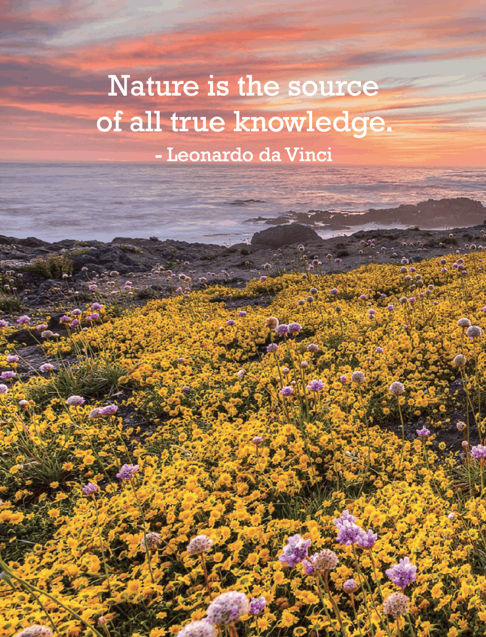 Free Printable - Nature Is The Source... | tortagialla