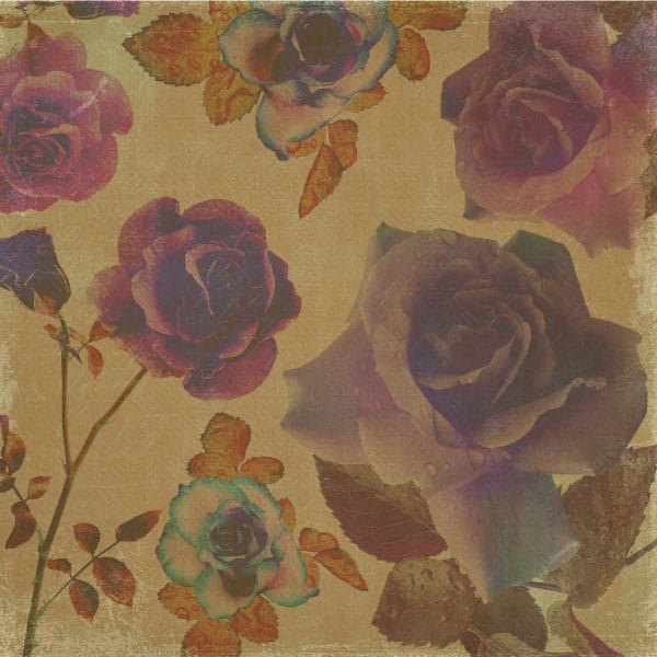 vintage grunge rose paper