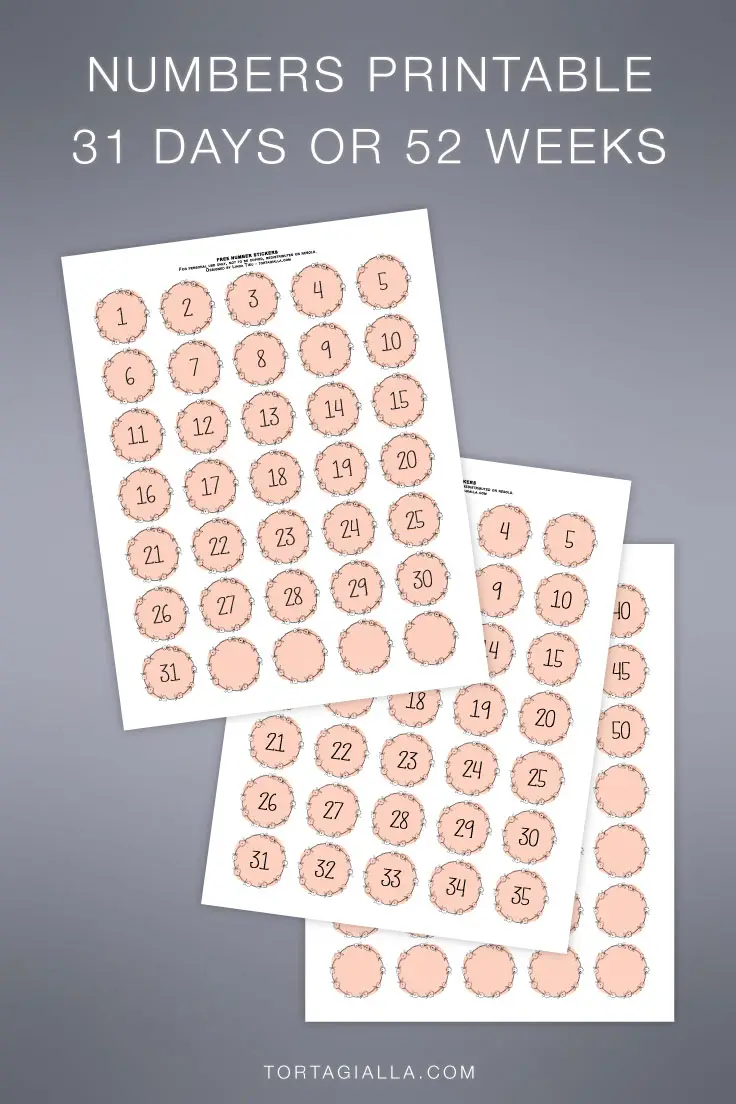 Printable Numbers - Pretty Pink Wreath Style - tortagialla
