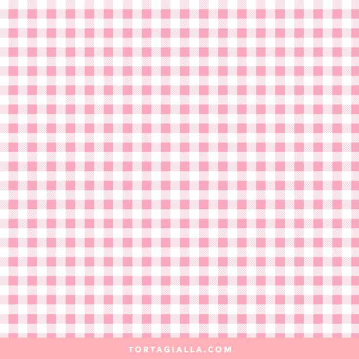 Spring Gingham Paper in Pink on tortagialla.com