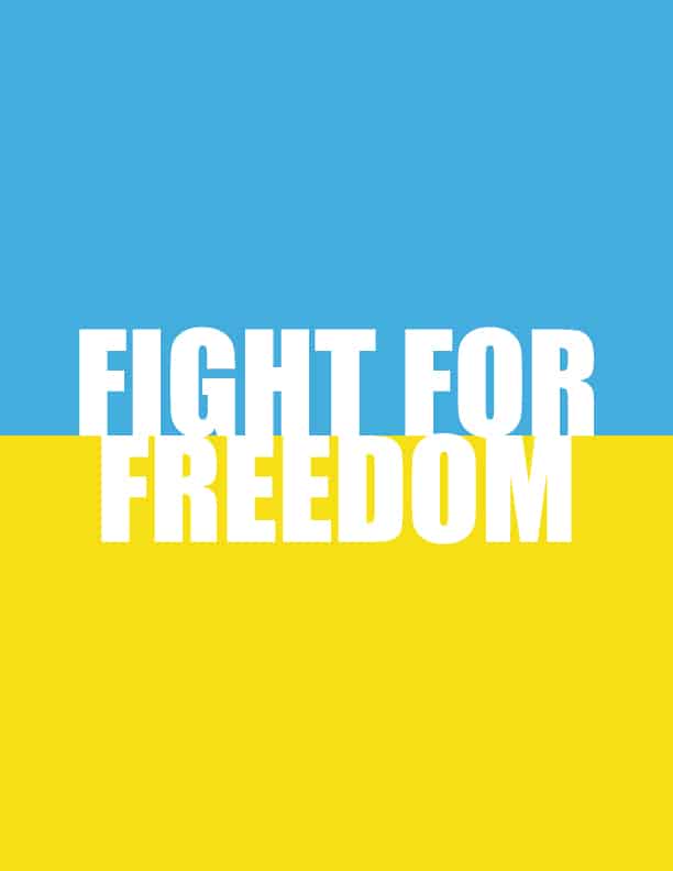 Preview Fight For Freedom Ukraine Flag lighter colors