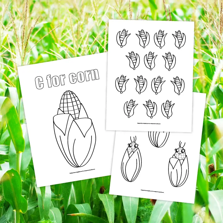 Download Corn Coloring Pages on messymommacrafts.com 