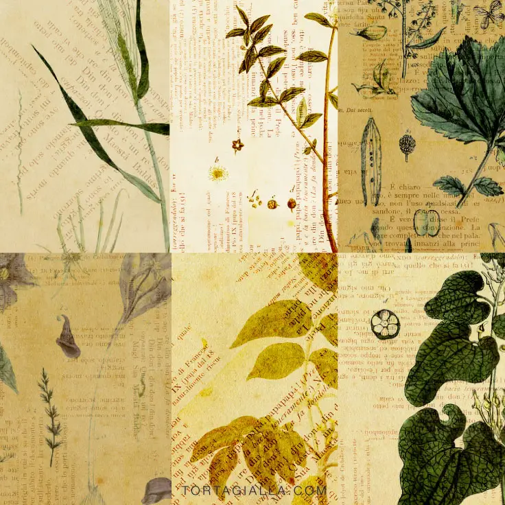Download freebie vintage styled patterned papers from tortagialla.com